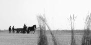 "1945" - kadr z filmu