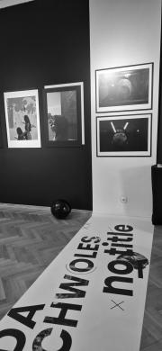 Ida Chwoles "NO TITLE". Wystawa w Toruniu