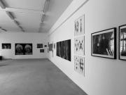 „Widzę się” - widok wystawy