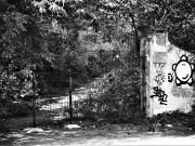 fot. Tadeusz Lisiecki