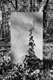 Stan zachowania cmentarzy żydowskich