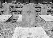 Niebieskie maki na Monte Cassino